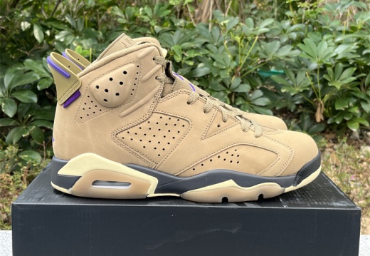 Air Jordan 6 Gore-Tex Brown Kelp FD1643-300 40-47.5 M120